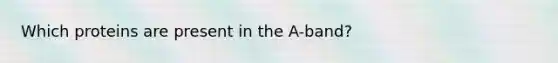 Which proteins are present in the A-band?