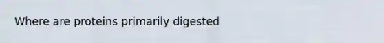 Where are proteins primarily digested