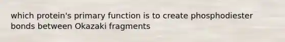 which protein's primary function is to create phosphodiester bonds between Okazaki fragments