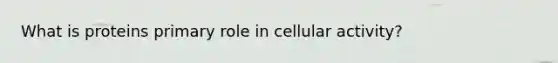 What is proteins primary role in cellular activity?