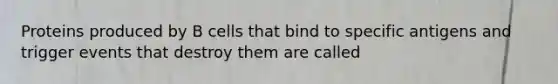 Proteins produced by B cells that bind to specific antigens and trigger events that destroy them are called