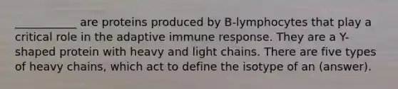 ___________ are proteins produced by B-lymphocytes that play a critical role in the adaptive immune response. They are a Y-shaped protein with heavy and light chains. There are five types of heavy chains, which act to define the isotype of an (answer).