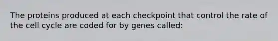 The proteins produced at each checkpoint that control the rate of the cell cycle are coded for by genes called: