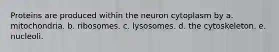 Proteins are produced within the neuron cytoplasm by a. mitochondria. b. ribosomes. c. lysosomes. d. the cytoskeleton. e. nucleoli.