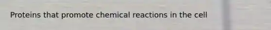 Proteins that promote chemical reactions in the cell