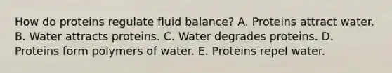 How do proteins regulate fluid balance? A. Proteins attract water. B. Water attracts proteins. C. Water degrades proteins. D. Proteins form polymers of water. E. Proteins repel water.