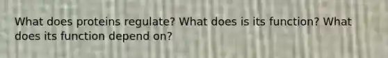 What does proteins regulate? What does is its function? What does its function depend on?