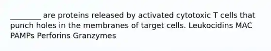 ________ are proteins released by activated cytotoxic T cells that punch holes in the membranes of target cells. Leukocidins MAC PAMPs Perforins Granzymes