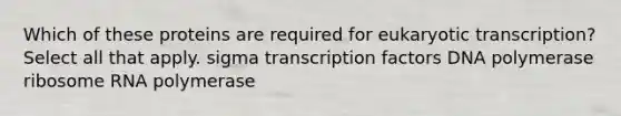 Which of these proteins are required for eukaryotic transcription? Select all that apply. sigma transcription factors DNA polymerase ribosome RNA polymerase