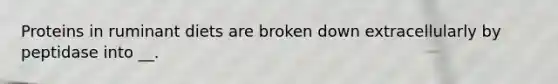 Proteins in ruminant diets are broken down extracellularly by peptidase into __.