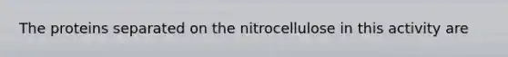 The proteins separated on the nitrocellulose in this activity are