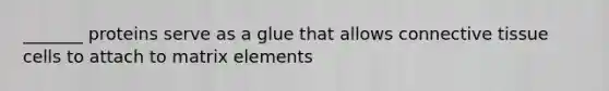 _______ proteins serve as a glue that allows connective tissue cells to attach to matrix elements