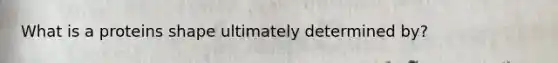 What is a proteins shape ultimately determined by?