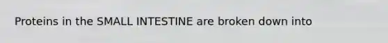 Proteins in the SMALL INTESTINE are broken down into