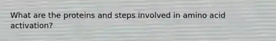 What are the proteins and steps involved in amino acid activation?