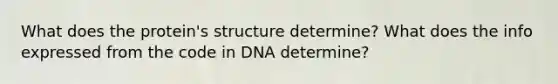 What does the protein's structure determine? What does the info expressed from the code in DNA determine?