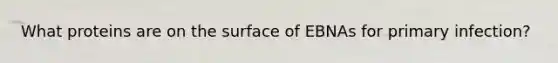 What proteins are on the surface of EBNAs for primary infection?