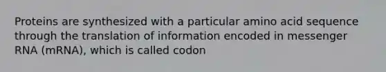 Proteins are synthesized with a particular amino acid sequence through the translation of information encoded in messenger RNA (mRNA), which is called codon