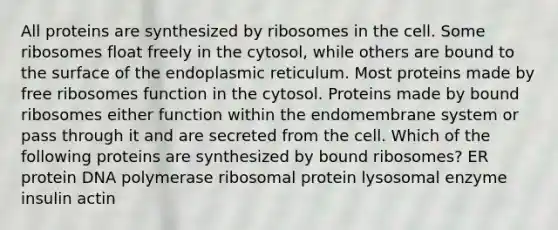 All proteins are synthesized by ribosomes in the cell. Some ribosomes float freely in the cytosol, while others are bound to the surface of the endoplasmic reticulum. Most proteins made by free ribosomes function in the cytosol. Proteins made by bound ribosomes either function within the endomembrane system or pass through it and are secreted from the cell. Which of the following proteins are synthesized by bound ribosomes? ER protein DNA polymerase ribosomal protein lysosomal enzyme insulin actin