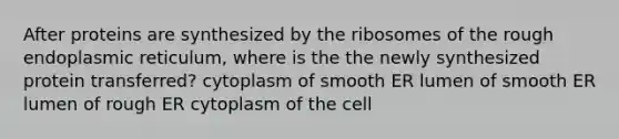 After proteins are synthesized by the ribosomes of the rough endoplasmic reticulum, where is the the newly synthesized protein transferred? cytoplasm of smooth ER lumen of smooth ER lumen of rough ER cytoplasm of the cell