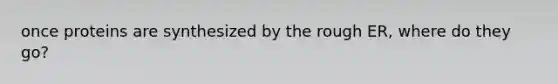 once proteins are synthesized by the rough ER, where do they go?