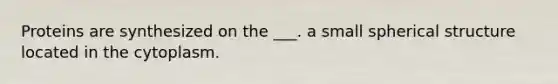Proteins are synthesized on the ___. a small spherical structure located in the cytoplasm.