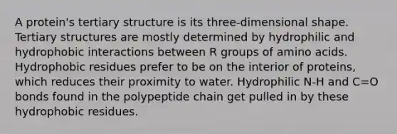 A protein's tertiary structure is its three-dimensional shape. Tertiary structures are mostly determined by hydrophilic and hydrophobic interactions between R groups of amino acids. Hydrophobic residues prefer to be on the interior of proteins, which reduces their proximity to water. Hydrophilic N-H and C=O bonds found in the polypeptide chain get pulled in by these hydrophobic residues.