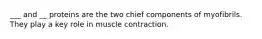 ___ and __ proteins are the two chief components of myofibrils. They play a key role in muscle contraction.