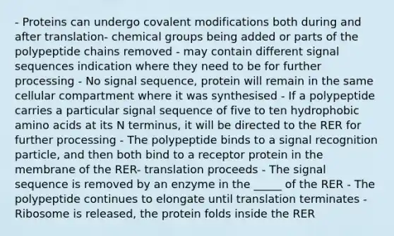 - Proteins can undergo covalent modifications both during and after translation- chemical groups being added or parts of the polypeptide chains removed - may contain different signal sequences indication where they need to be for further processing - No signal sequence, protein will remain in the same cellular compartment where it was synthesised - If a polypeptide carries a particular signal sequence of five to ten hydrophobic amino acids at its N terminus, it will be directed to the RER for further processing - The polypeptide binds to a signal recognition particle, and then both bind to a receptor protein in the membrane of the RER- translation proceeds - The signal sequence is removed by an enzyme in the _____ of the RER - The polypeptide continues to elongate until translation terminates - Ribosome is released, the protein folds inside the RER