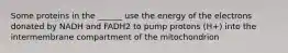 Some proteins in the ______ use the energy of the electrons donated by NADH and FADH2 to pump protons (H+) into the intermembrane compartment of the mitochondrion