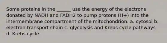 Some proteins in the ______ use the energy of the electrons donated by NADH and FADH2 to pump protons (H+) into the intermembrane compartment of the mitochondrion. a. cytosol b. electron transport chain c. glycolysis and Krebs cycle pathways d. Krebs cycle