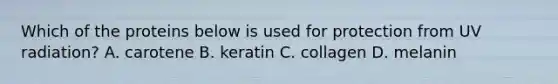 Which of the proteins below is used for protection from UV radiation? A. carotene B. keratin C. collagen D. melanin