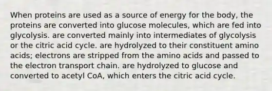 When proteins are used as a source of energy for the body, the proteins are converted into glucose molecules, which are fed into glycolysis. are converted mainly into intermediates of glycolysis or the citric acid cycle. are hydrolyzed to their constituent <a href='https://www.questionai.com/knowledge/k9gb720LCl-amino-acids' class='anchor-knowledge'>amino acids</a>; electrons are stripped from the amino acids and passed to <a href='https://www.questionai.com/knowledge/k57oGBr0HP-the-electron-transport-chain' class='anchor-knowledge'>the electron transport chain</a>. are hydrolyzed to glucose and converted to acetyl CoA, which enters the citric acid cycle.