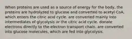 When proteins are used as a source of energy for the body, the proteins are hydrolyzed to glucose and converted to acetyl CoA, which enters the citric acid cycle. are converted mainly into intermediates of glycolysis or the citric acid cycle. donate electrons directly to the electron transport chain. are converted into glucose molecules, which are fed into glycolysis.