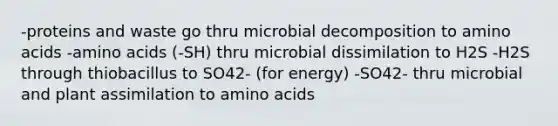 -proteins and waste go thru microbial decomposition to amino acids -amino acids (-SH) thru microbial dissimilation to H2S -H2S through thiobacillus to SO42- (for energy) -SO42- thru microbial and plant assimilation to amino acids