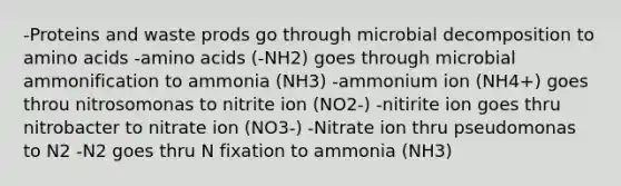 -Proteins and waste prods go through microbial decomposition to <a href='https://www.questionai.com/knowledge/k9gb720LCl-amino-acids' class='anchor-knowledge'>amino acids</a> -amino acids (-NH2) goes through microbial ammonification to ammonia (NH3) -ammonium ion (NH4+) goes throu nitrosomonas to nitrite ion (NO2-) -nitirite ion goes thru nitrobacter to nitrate ion (NO3-) -Nitrate ion thru pseudomonas to N2 -N2 goes thru N fixation to ammonia (NH3)