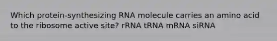 Which protein-synthesizing RNA molecule carries an amino acid to the ribosome active site? rRNA tRNA mRNA siRNA