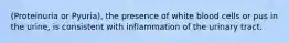 (Proteinuria or Pyuria), the presence of white blood cells or pus in the urine, is consistent with inflammation of the urinary tract.