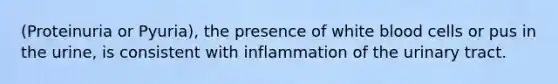 (Proteinuria or Pyuria), the presence of white blood cells or pus in the urine, is consistent with inflammation of the urinary tract.