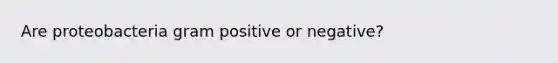 Are proteobacteria gram positive or negative?