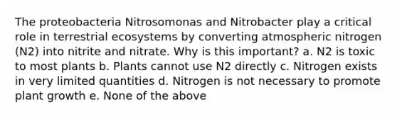 The proteobacteria Nitrosomonas and Nitrobacter play a critical role in terrestrial ecosystems by converting atmospheric nitrogen (N2) into nitrite and nitrate. Why is this important? a. N2 is toxic to most plants b. Plants cannot use N2 directly c. Nitrogen exists in very limited quantities d. Nitrogen is not necessary to promote plant growth e. None of the above