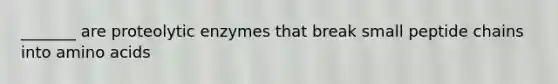 _______ are proteolytic enzymes that break small peptide chains into <a href='https://www.questionai.com/knowledge/k9gb720LCl-amino-acids' class='anchor-knowledge'>amino acids</a>