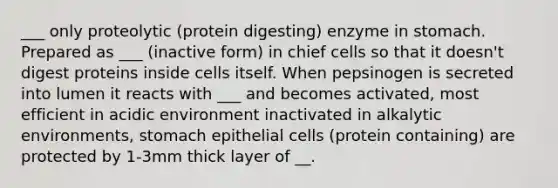 ___ only proteolytic (protein digesting) enzyme in stomach. Prepared as ___ (inactive form) in chief cells so that it doesn't digest proteins inside cells itself. When pepsinogen is secreted into lumen it reacts with ___ and becomes activated, most efficient in acidic environment inactivated in alkalytic environments, stomach epithelial cells (protein containing) are protected by 1-3mm thick layer of __.