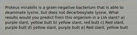 Proteus mirabilis is a gram-negative bacterium that is able to deaminate lysine, but does not decarboxylate lysine. What results would you predict from this organism in a LIA slant? a) purple slant, yellow butt b) yellow slant, red butt c) Red slant, purple butt d) yellow slant, purple butt e) Red slant, yellow butt