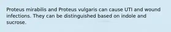 Proteus mirabilis and Proteus vulgaris can cause UTI and wound infections. They can be distinguished based on indole and sucrose.