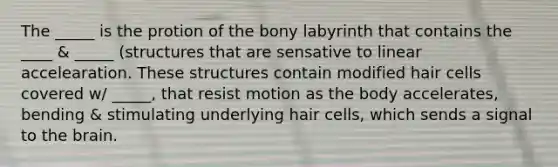 The _____ is the protion of the bony labyrinth that contains the ____ & _____ (structures that are sensative to linear accelearation. These structures contain modified hair cells covered w/ _____, that resist motion as the body accelerates, bending & stimulating underlying hair cells, which sends a signal to the brain.