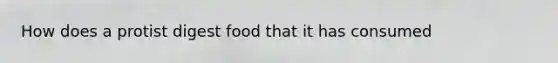 How does a protist digest food that it has consumed