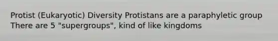 Protist (Eukaryotic) Diversity Protistans are a paraphyletic group There are 5 "supergroups", kind of like kingdoms