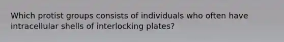 Which protist groups consists of individuals who often have intracellular shells of interlocking plates?