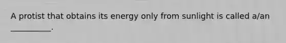 A protist that obtains its energy only from sunlight is called a/an __________.